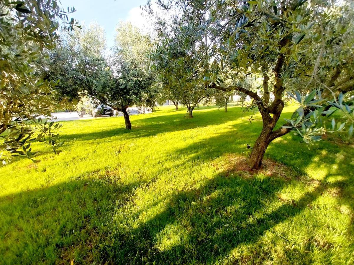 Wellnes - Hacienda Matea